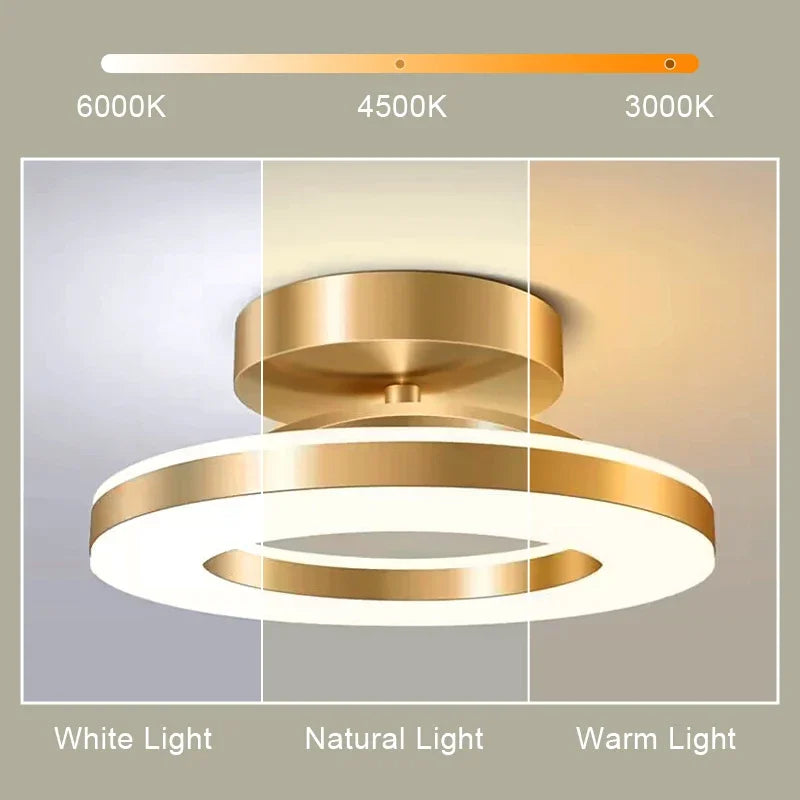 Modern LED Ceiling Lamp Indoor Lighting Home Decoretion For Bedroom Dining Table Living Room Balcony Corridor Ceiling Light